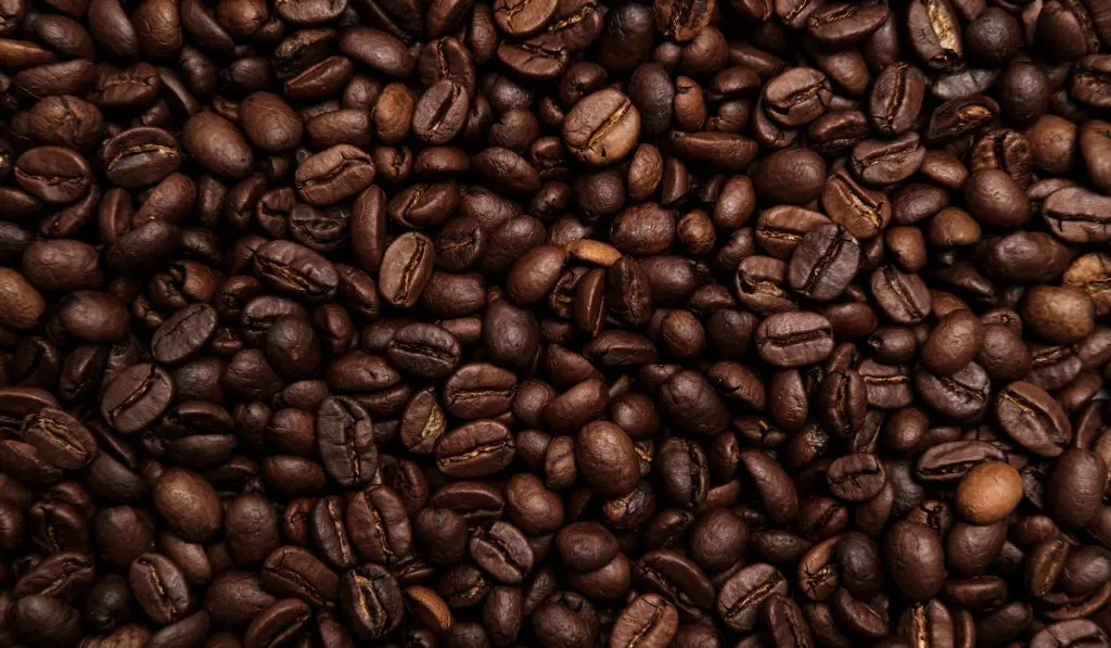 beautiful roasted coffee beans