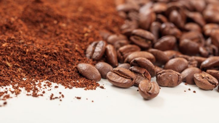 coffee bean and ground coffee