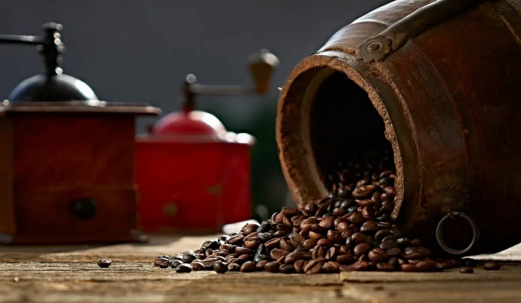 coffee beans coming out of vintage barrel