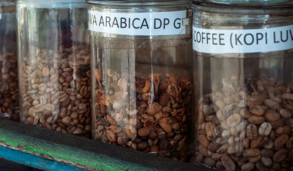coffee beans in jars