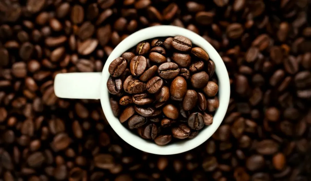 coffee beans on cup