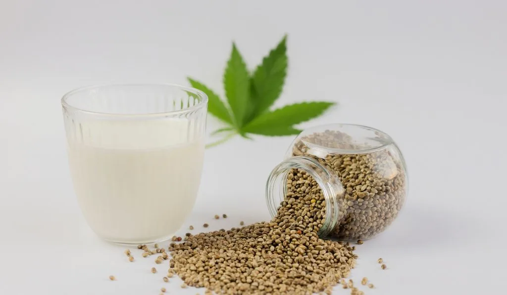 hemp milk