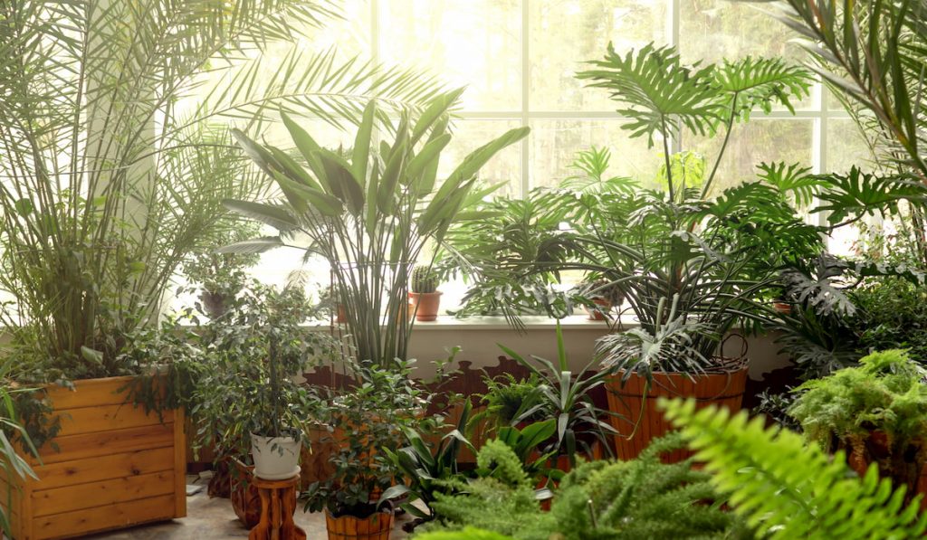 indoor botanical garden