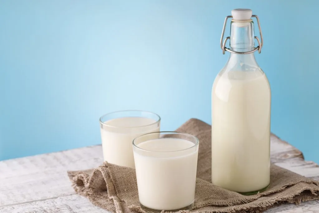 milk bottle with glasses of milk