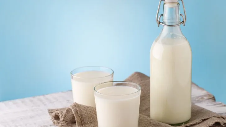 milk bottle with glasses of milk
