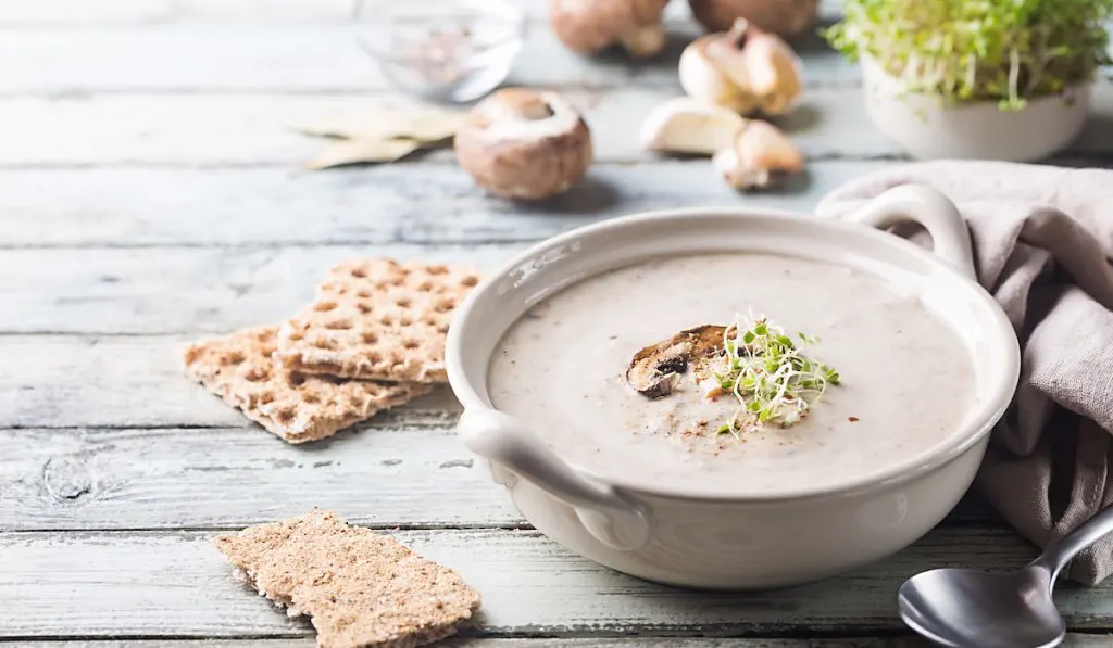 mushroom soup