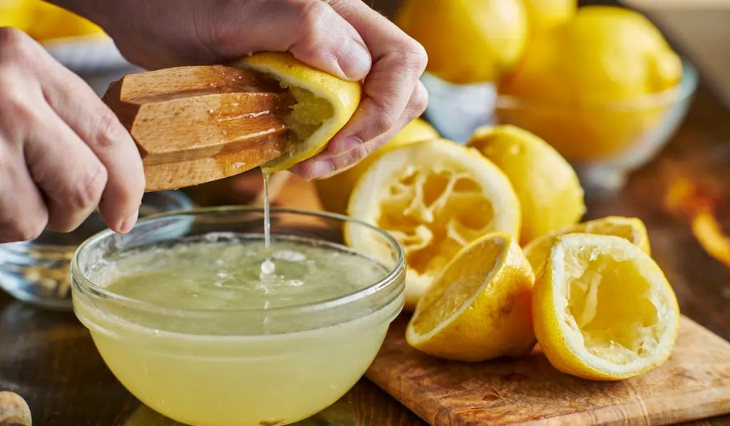 squeezing lemon