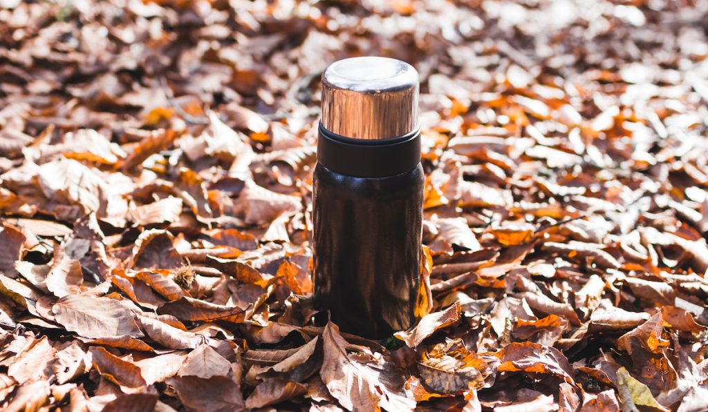 thermos on autumn leaves