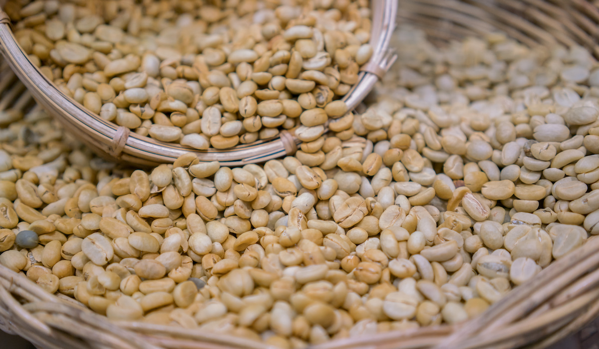 Should You Wash Green Coffee Beans Before Roasting? - Coffee and Cleveland