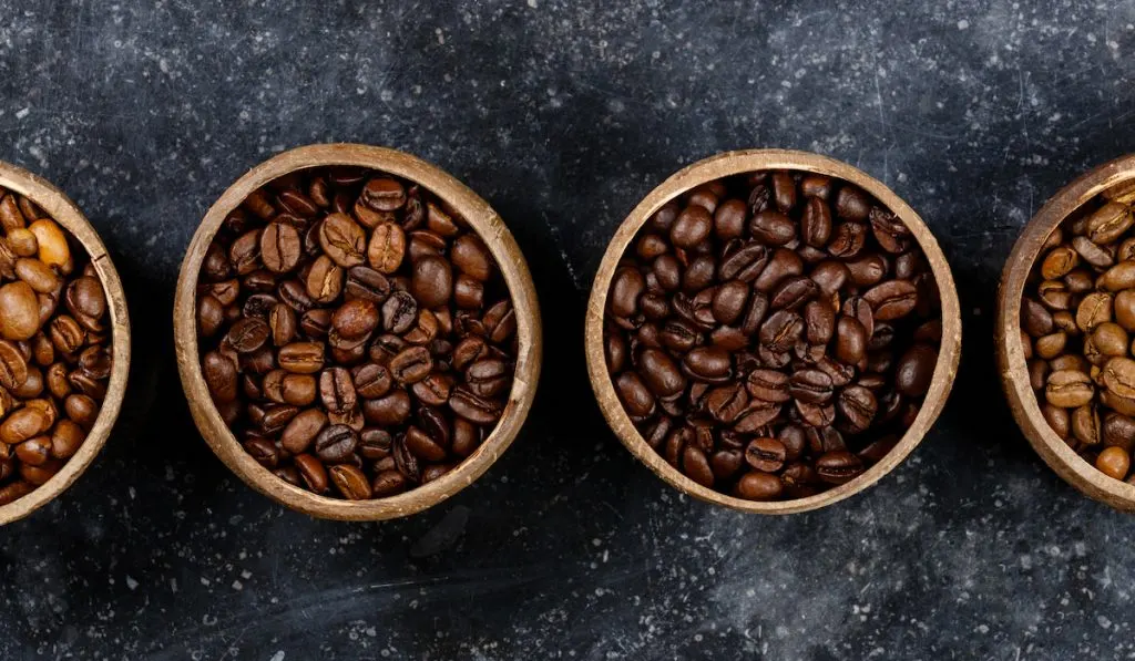 variety of coffee beans