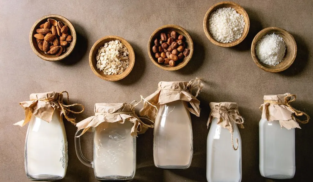 variety of non-dairy milk