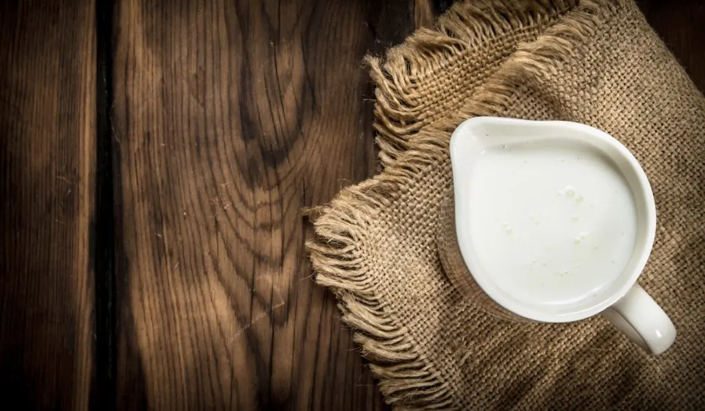 whole milk mug